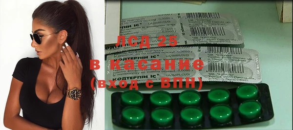 шишки Осинники